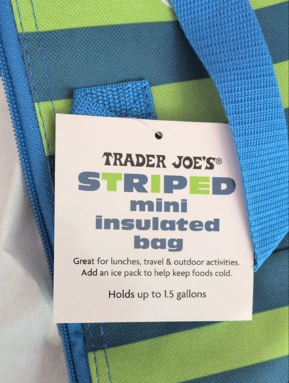 NWT Trader Joe's Striped Mini Insulated Bag - Blue & Green